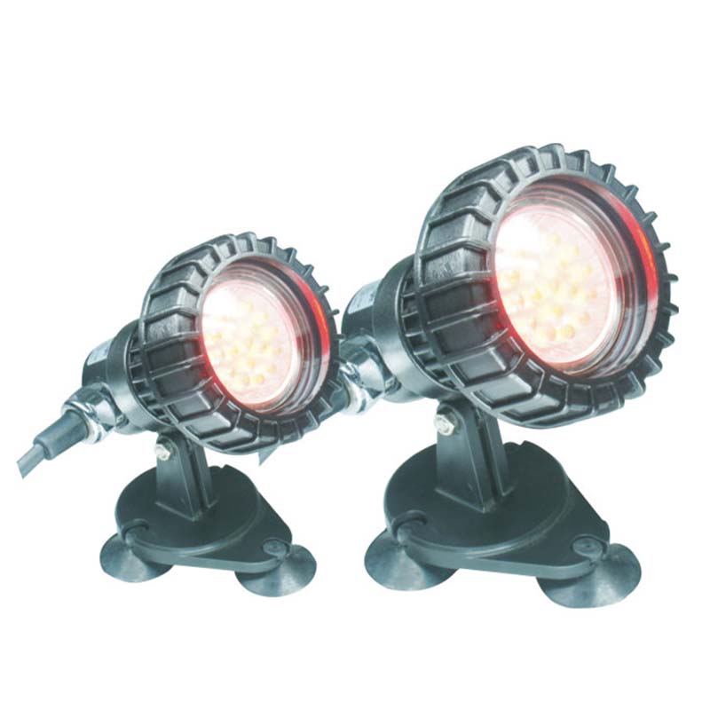 Ryby nad podzemným jazierkom ponorné svetlo